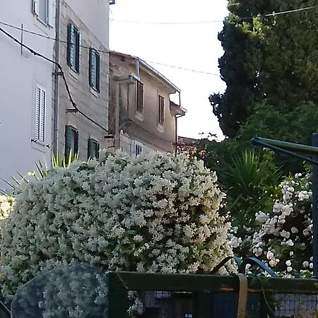 Panorama Split